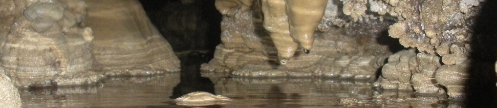Forum di Grotte veronesi